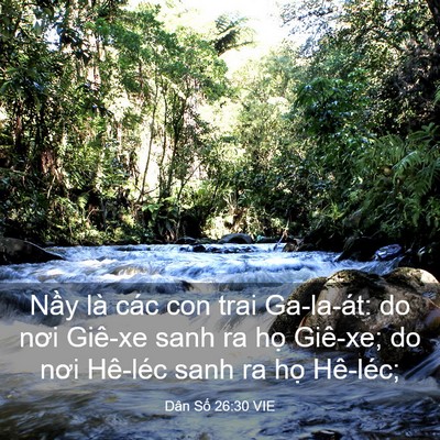 Picture 03 - Dân Số 26:30 VIE - Nầy là các con trai Ga-la-át: do nơi - Bible Verse Picture