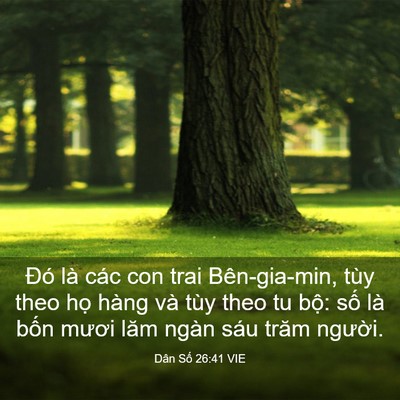 Picture 03 - Dân Số 26:41 VIE - Đó là các con trai Bên-gia-min, tùy theo - Bible Verse Picture