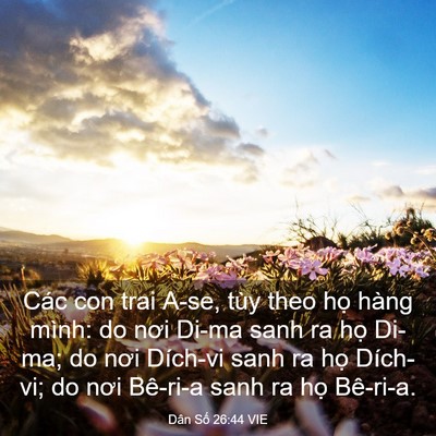 Picture 03 - Dân Số 26:44 VIE - Các con trai A-se, tùy theo họ hàng mình: - Bible Verse Picture