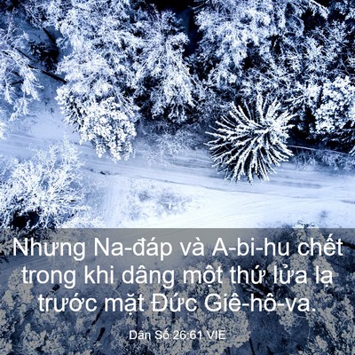 Picture 03 - Dân Số 26:61 VIE - Nhưng Na-đáp và A-bi-hu chết trong khi - Bible Verse Picture