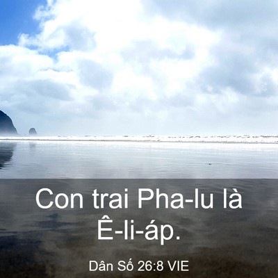 Picture 03 - Dân Số 26:8 VIE - Con trai Pha-lu là - Bible Verse Picture