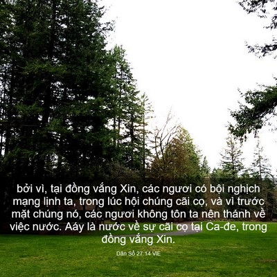 Picture 03 - Dân Số 27:14 VIE - bởi vì, tại đồng vắng Xin, các ngươi - Bible Verse Picture