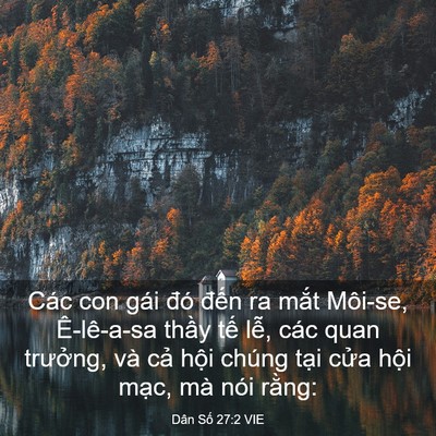 Picture 03 - Dân Số 27:2 VIE - Các con gái đó đến ra mắt Môi-se, - Bible Verse Picture