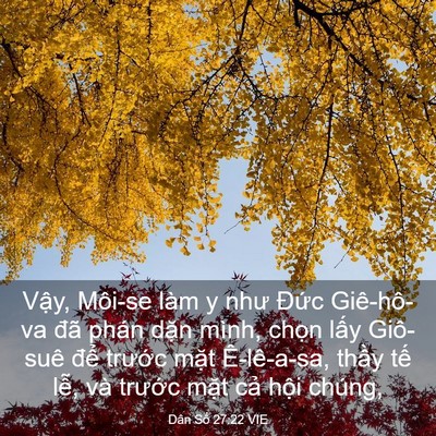 Picture 03 - Dân Số 27:22 VIE - Vậy, Môi-se làm y như Đức Giê-hô-va - Bible Verse Picture