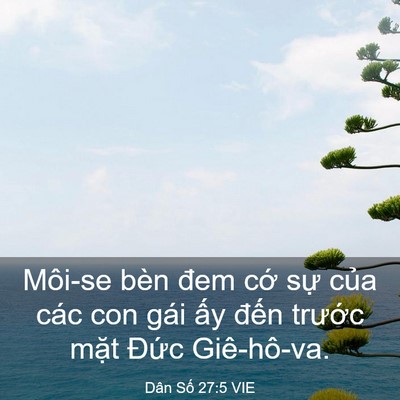 Picture 03 - Dân Số 27:5 VIE - Môi-se bèn đem cớ sự của các con gái - Bible Verse Picture