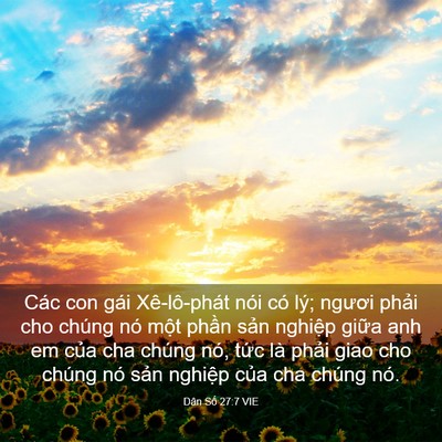 Picture 03 - Dân Số 27:7 VIE - Các con gái Xê-lô-phát nói có lý; ngươi - Bible Verse Picture