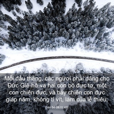 Picture 03 - Dân Số 28:11 VIE - Mỗi đầu tháng, các ngươi phải dâng - Bible Verse Picture