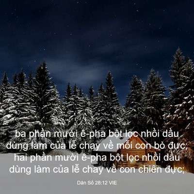 Picture 03 - Dân Số 28:12 VIE - ba phần mười ê-pha bột lọc nhồi dầu - Bible Verse Picture