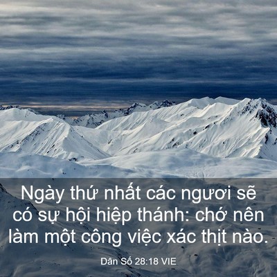 Picture 03 - Dân Số 28:18 VIE - Ngày thứ nhất các ngươi sẽ có sự - Bible Verse Picture