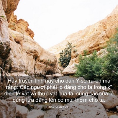 Picture 03 - Dân Số 28:2 VIE - Hãy truyền lịnh nầy cho dân Y-sơ-ra-ên - Bible Verse Picture