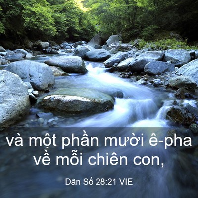 Picture 03 - Dân Số 28:21 VIE - và một phần mười ê-pha về mỗi chiên - Bible Verse Picture