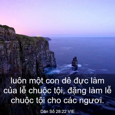 Picture 03 - Dân Số 28:22 VIE - luôn một con dê đực làm của lễ - Bible Verse Picture