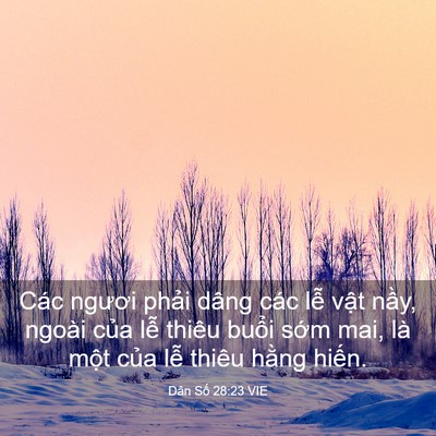Picture 03 - Dân Số 28:23 VIE - Các ngươi phải dâng các lễ vật nầy, - Bible Verse Picture