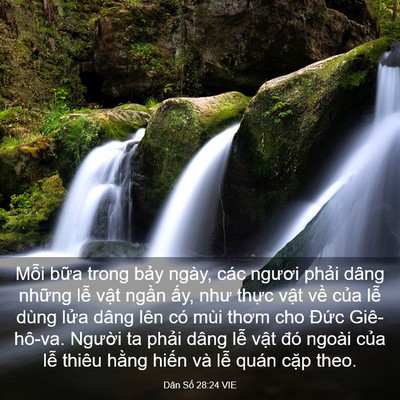 Picture 03 - Dân Số 28:24 VIE - Mỗi bữa trong bảy ngày, các ngươi - Bible Verse Picture