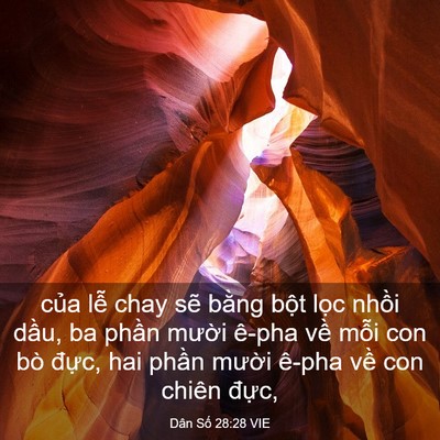 Picture 03 - Dân Số 28:28 VIE - của lễ chay sẽ bằng bột lọc nhồi - Bible Verse Picture