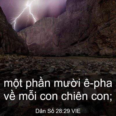 Picture 03 - Dân Số 28:29 VIE - một phần mười ê-pha về mỗi con chiên - Bible Verse Picture