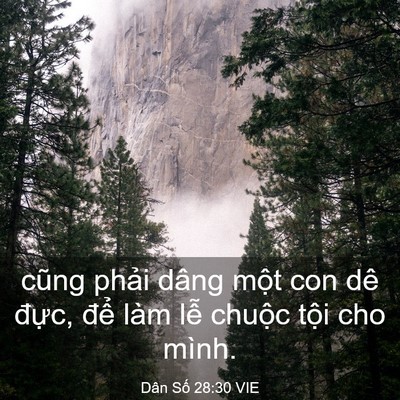 Picture 03 - Dân Số 28:30 VIE - cũng phải dâng một con dê đực, để - Bible Verse Picture