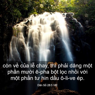 Picture 03 - Dân Số 28:5 VIE - còn về của lễ chay, thì phải dâng - Bible Verse Picture