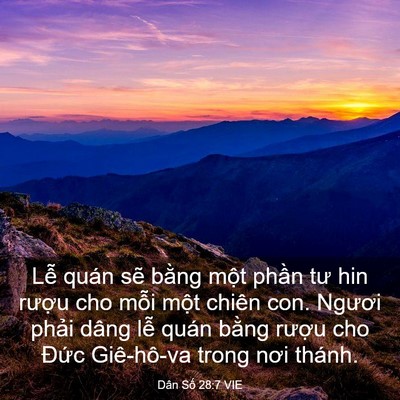 Picture 03 - Dân Số 28:7 VIE - Lễ quán sẽ bằng một phần tư hin - Bible Verse Picture