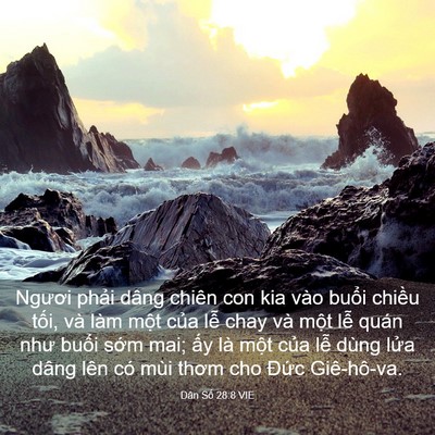 Picture 03 - Dân Số 28:8 VIE - Ngươi phải dâng chiên con kia vào buổi - Bible Verse Picture