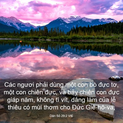 Picture 03 - Dân Số 29:2 VIE - Các ngươi phải dùng một con bò đực - Bible Verse Picture