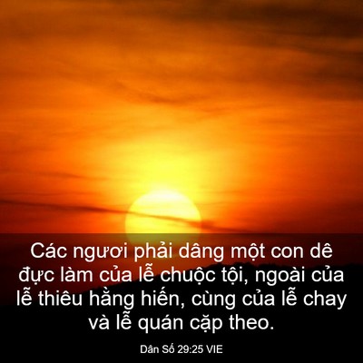 Picture 03 - Dân Số 29:25 VIE - Các ngươi phải dâng một con dê đực - Bible Verse Picture