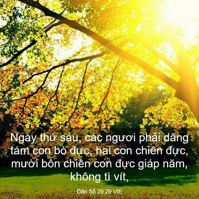 Picture 03 - Dân Số 29:29 VIE - Ngày thứ sáu, các ngươi phải dâng tám - Bible Verse Picture