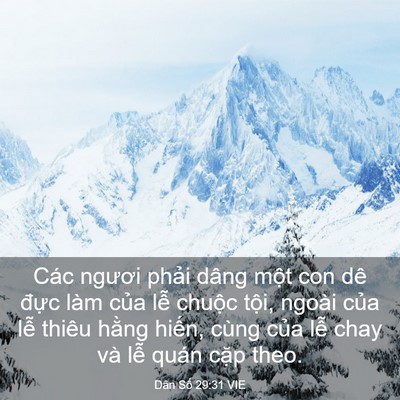 Picture 03 - Dân Số 29:31 VIE - Các ngươi phải dâng một con dê đực - Bible Verse Picture