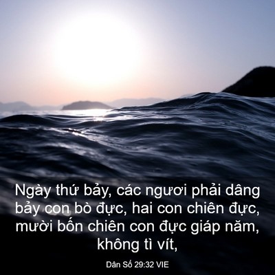 Picture 03 - Dân Số 29:32 VIE - Ngày thứ bảy, các ngươi phải dâng - Bible Verse Picture