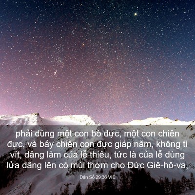 Picture 03 - Dân Số 29:36 VIE - phải dùng một con bò đực, một con - Bible Verse Picture