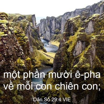 Picture 03 - Dân Số 29:4 VIE - một phần mười ê-pha về mỗi con chiên - Bible Verse Picture