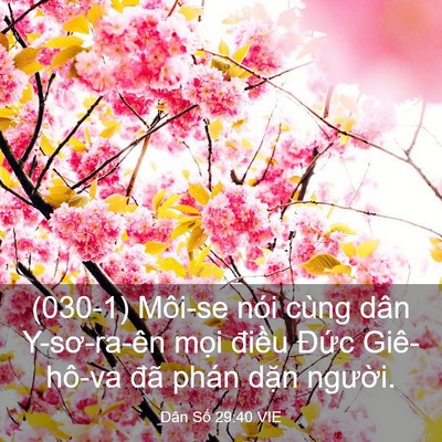 Picture 03 - Dân Số 29:40 VIE - (030-1) Môi-se nói cùng dân Y-sơ-ra-ên - Bible Verse Picture