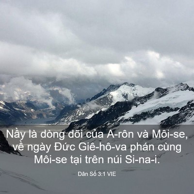 Picture 03 - Dân Số 3:1 VIE - Nầy là dòng dõi của A-rôn và Môi-se, - Bible Verse Picture