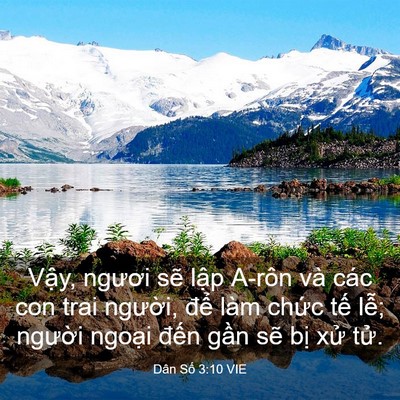 Picture 03 - Dân Số 3:10 VIE - Vậy, ngươi sẽ lập A-rôn và các con - Bible Verse Picture