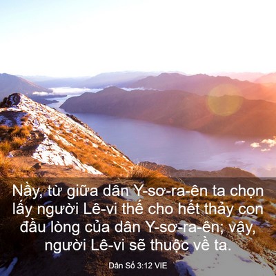 Picture 03 - Dân Số 3:12 VIE - Nầy, từ giữa dân Y-sơ-ra-ên ta chọn - Bible Verse Picture