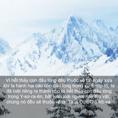 Picture 03 - Dân Số 3:13 VIE - Vì hết thảy con đầu lòng đều thuộc - Bible Verse Picture