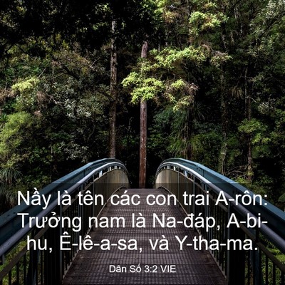 Picture 03 - Dân Số 3:2 VIE - Nầy là tên các con trai A-rôn: Trưởng - Bible Verse Picture