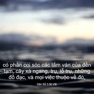 Picture 03 - Dân Số 3:36 VIE - có phần coi sóc các tấm ván của đền - Bible Verse Picture