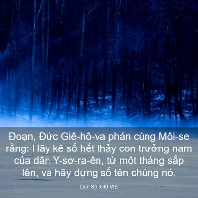 Picture 03 - Dân Số 3:40 VIE - Đoạn, Đức Giê-hô-va phán cùng Môi-se - Bible Verse Picture