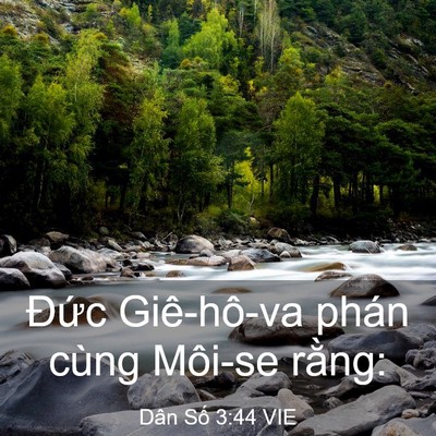 Picture 03 - Dân Số 3:44 VIE - Đức Giê-hô-va phán cùng Môi-se - Bible Verse Picture