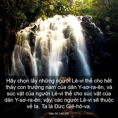 Picture 03 - Dân Số 3:45 VIE - Hãy chọn lấy những người Lê-vi thế - Bible Verse Picture