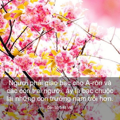 Picture 03 - Dân Số 3:48 VIE - Ngươi phải giao bạc cho A-rôn và các con - Bible Verse Picture