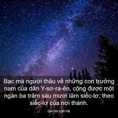 Picture 03 - Dân Số 3:50 VIE - Bạc mà người thâu về những con - Bible Verse Picture