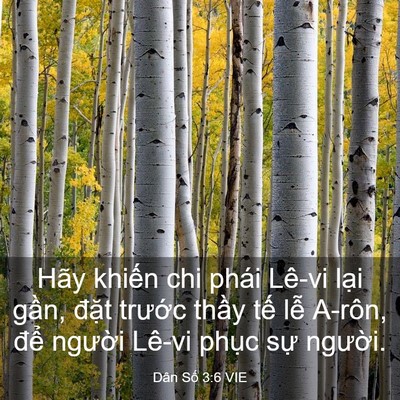 Picture 03 - Dân Số 3:6 VIE - Hãy khiến chi phái Lê-vi lại gần, đặt - Bible Verse Picture
