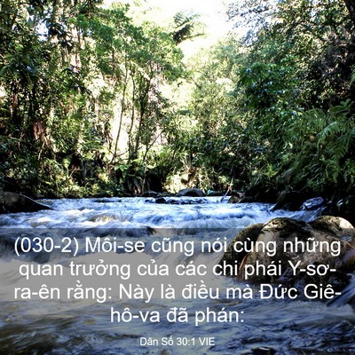 Picture 03 - Dân Số 30:1 VIE - (030-2) Môi-se cũng nói cùng những quan - Bible Verse Picture