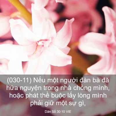 Picture 03 - Dân Số 30:10 VIE - (030-11) Nếu một người đàn bà đã - Bible Verse Picture