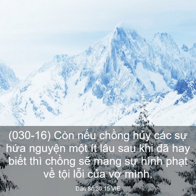 Picture 03 - Dân Số 30:15 VIE - (030-16) Còn nếu chồng hủy các sự hứa - Bible Verse Picture