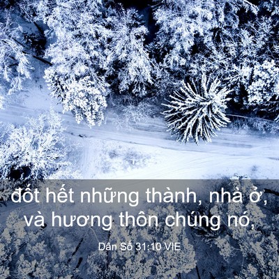 Picture 03 - Dân Số 31:10 VIE - đốt hết những thành, nhà ở, và - Bible Verse Picture