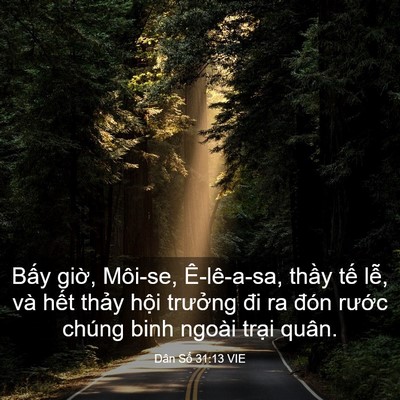 Picture 03 - Dân Số 31:13 VIE - Bấy giờ, Môi-se, Ê-lê-a-sa, thầy tế - Bible Verse Picture