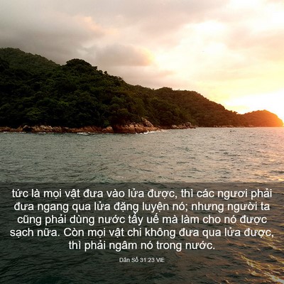 Picture 03 - Dân Số 31:23 VIE - tức là mọi vật đưa vào lửa được, - Bible Verse Picture